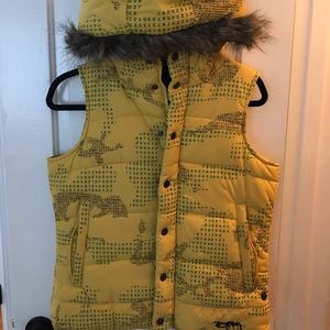 Snowboard vest